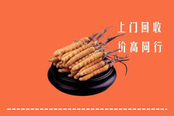 高价求购：泰州市回收散虫草