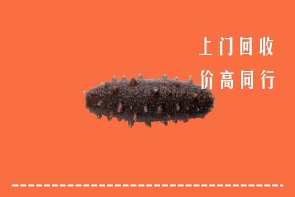 高价求购：泰州市回收海参