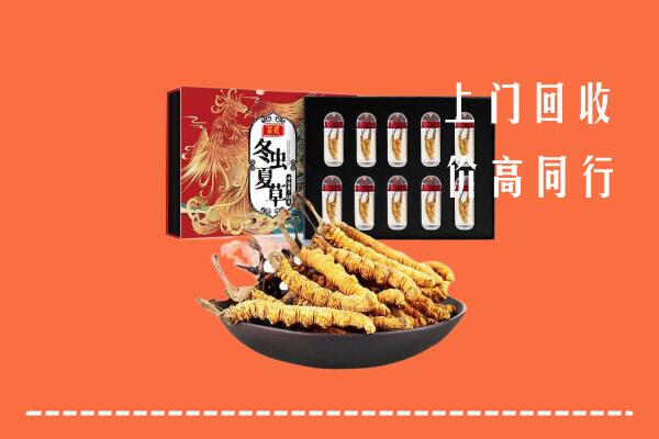 泰州市回收虫草